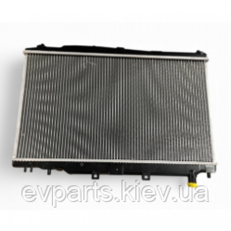 Радіатор охолодження основний для Honda e:NS1 / e:NP1 (19010-66E-H01)