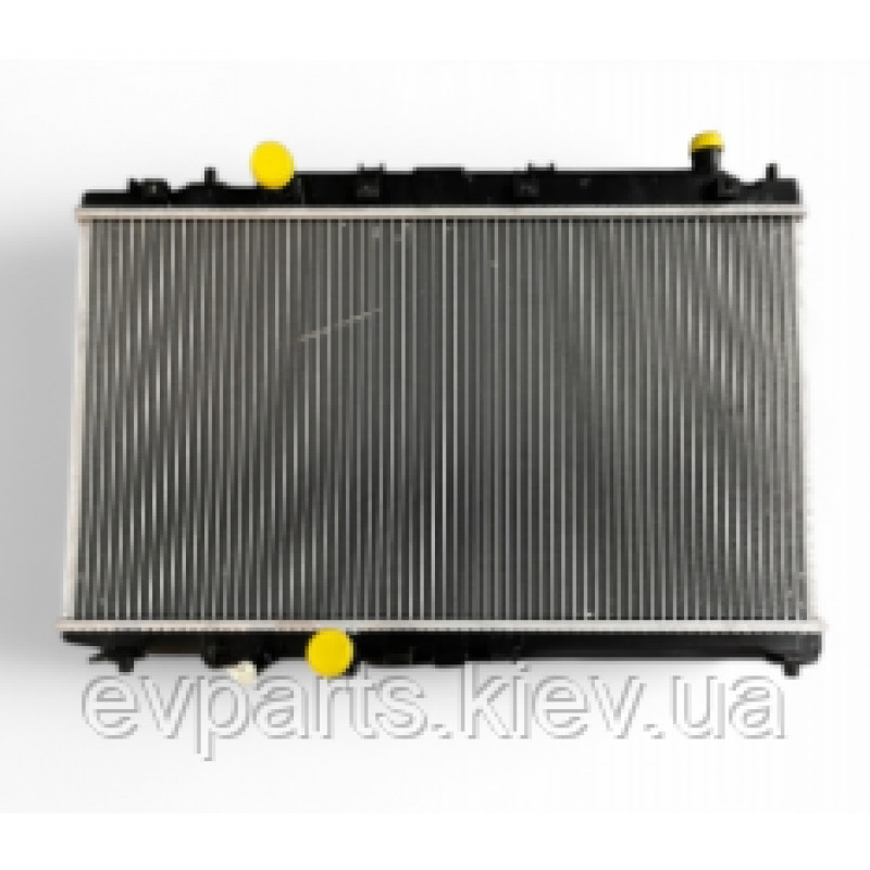 Радіатор охолодження основний для Honda e:NS1 / e:NP1 (19010-66E-H01)