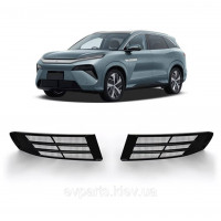 Защитная решетка радиатора матовая для BYD Tang L (Комплект 2 шт)
