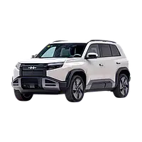 Запчастини BYD Leopard